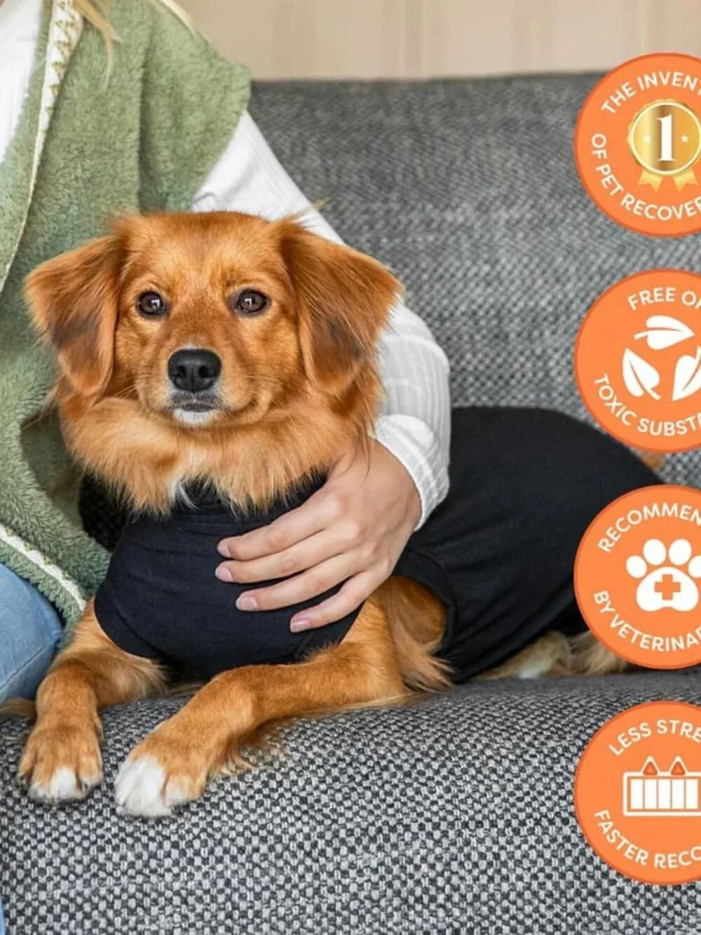 Suitical Recovery Suit for Dogs - Size Medium
